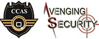 Best Web Design And Development Company | Avenging Security
